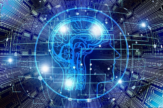 💼 ¿Por qué aprender sobre negocios online puede cambiar tu vida?